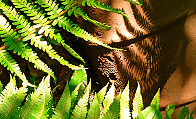 电话在线轰炸网页版